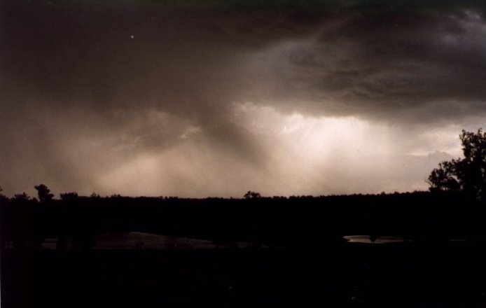 Photo  Anthony Cornelius