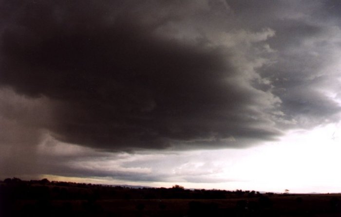 Taken by Anthony Cornelius