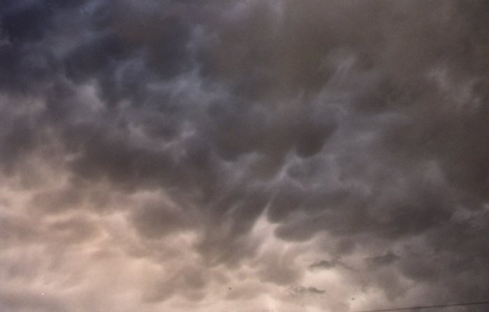 Taken by Anthony Cornelius