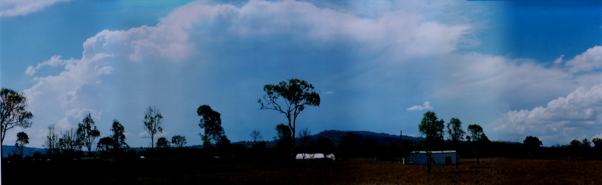 Taken by Anthony Cornelius