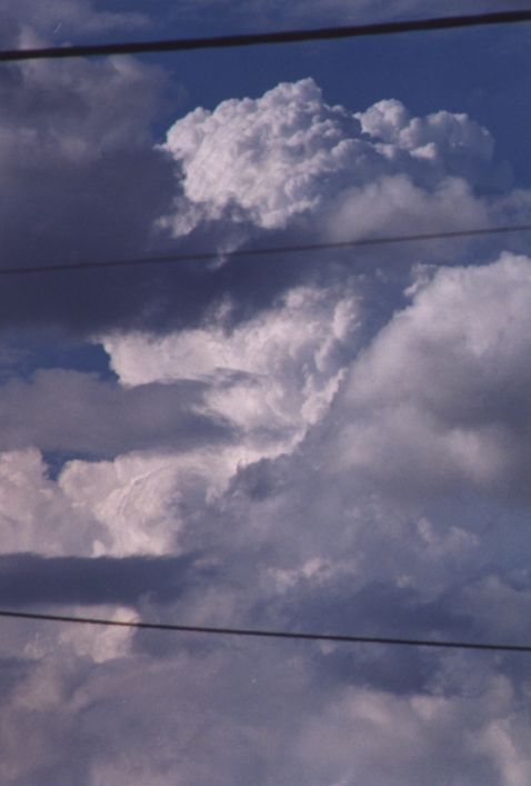 Taken by Anthony Cornelius