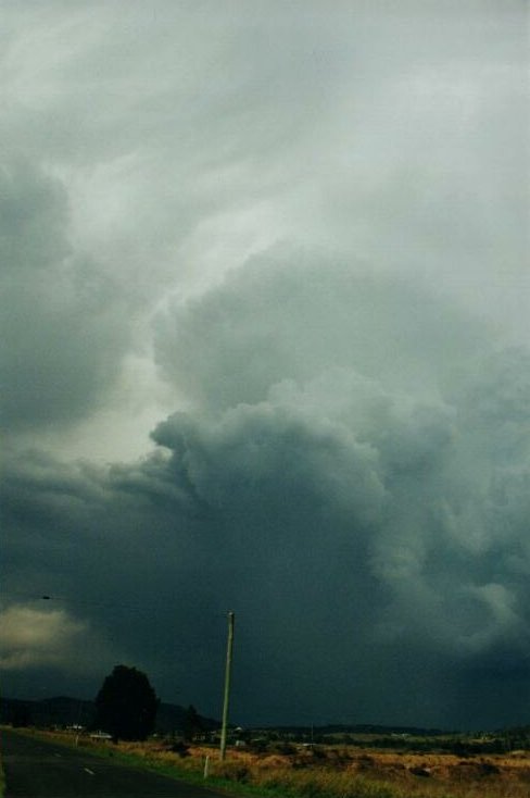 Photo  Anthony Cornelius