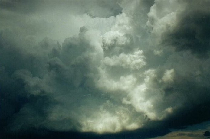 Photo  Anthony Cornelius