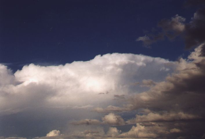 Taken by Anthony Cornelius