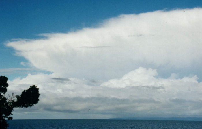 Taken by Anthony Cornelius