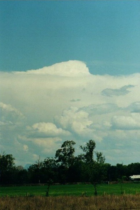 Photo  Anthony Cornelius