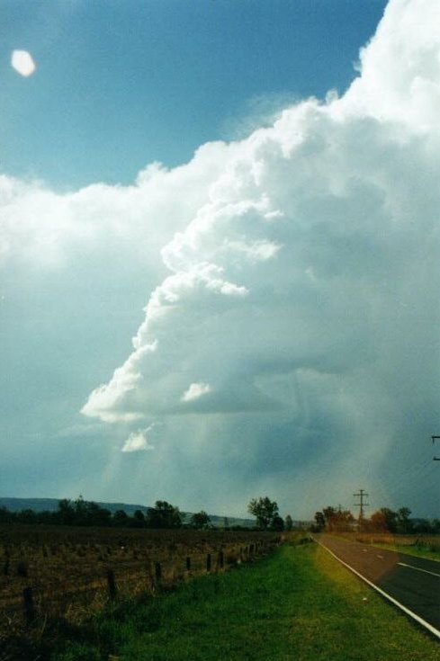 Photo  Anthony Cornelius