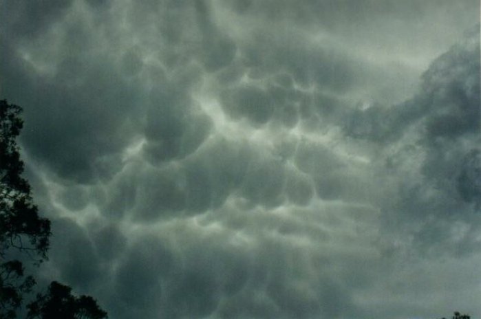 Taken by Anthony Cornelius