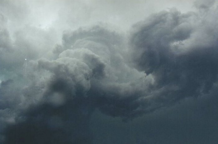 Photo  Anthony Cornelius