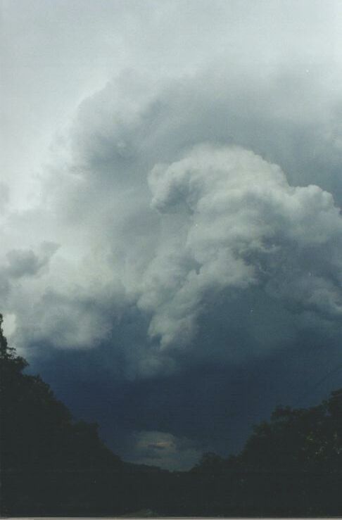 Photo  Anthony Cornelius