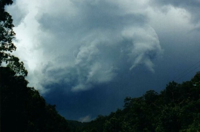 Photo  Anthony Cornelius