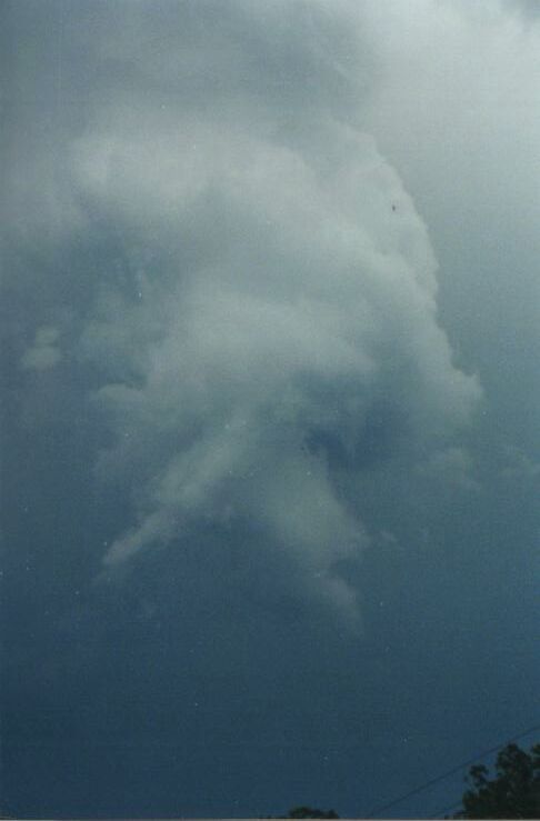 Photo  Anthony Cornelius