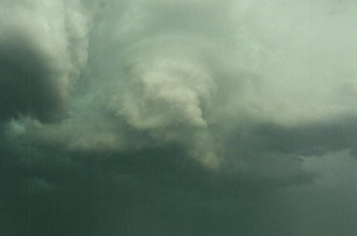 Photo  Anthony Cornelius