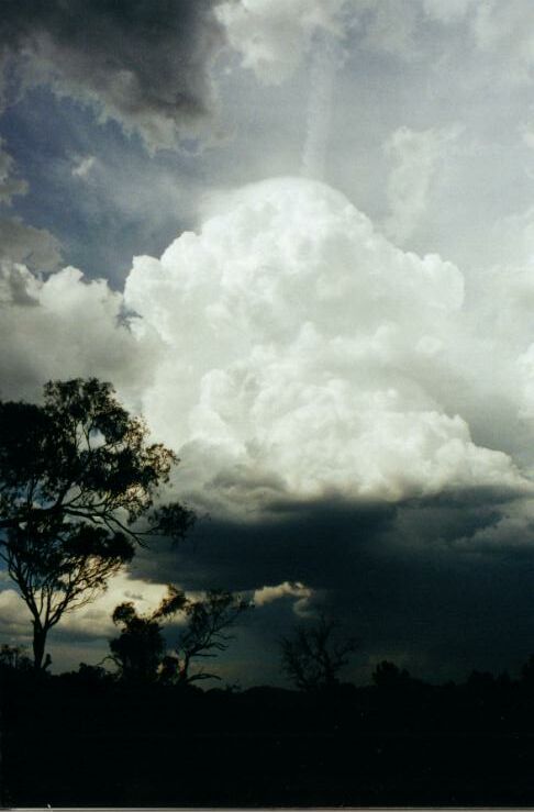 Taken by Anthony Cornelius