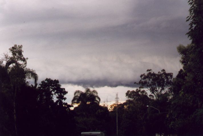 Photo  Anthony Cornelius