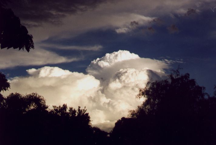 Photo  Anthony Cornelius