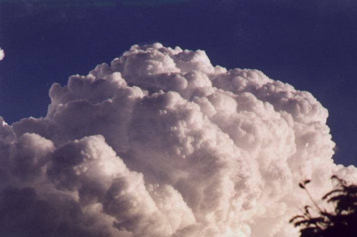 Photo  Anthony Cornelius