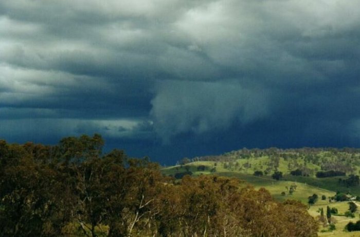 Taken by Anthony Cornelius