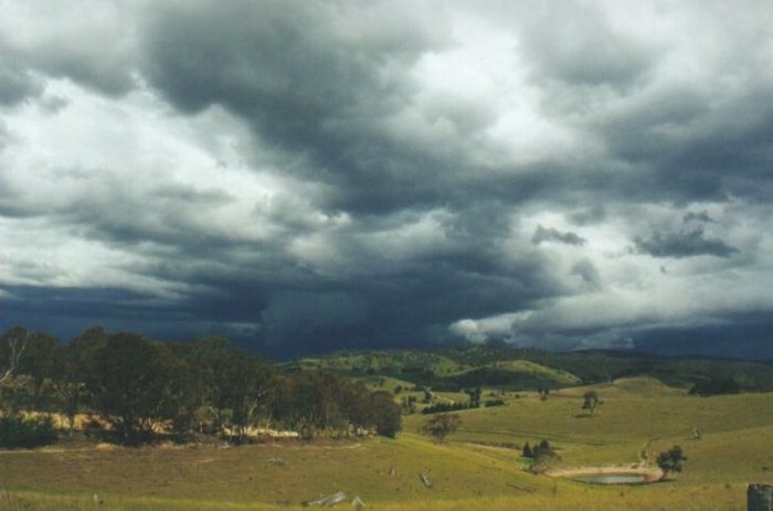 Taken by Anthony Cornelius