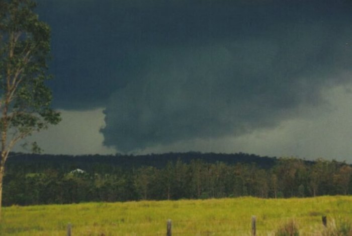 Taken by Anthony Cornelius