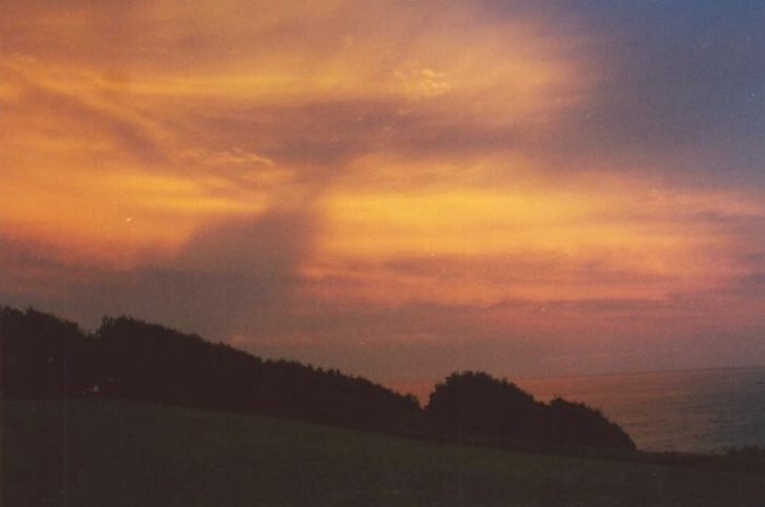 Photo  Anthony Cornelius