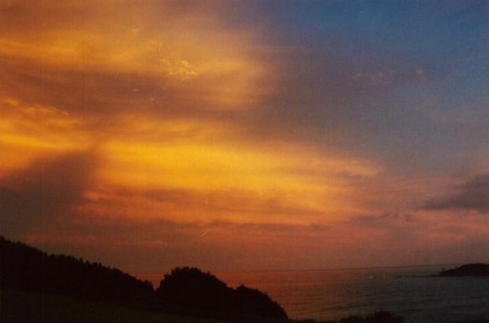 Photo  Anthony Cornelius