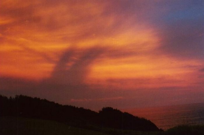 Photo  Anthony Cornelius