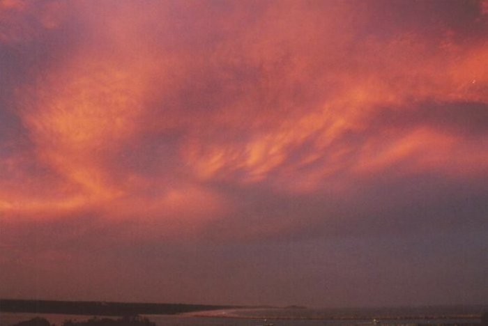 Photo  Anthony Cornelius