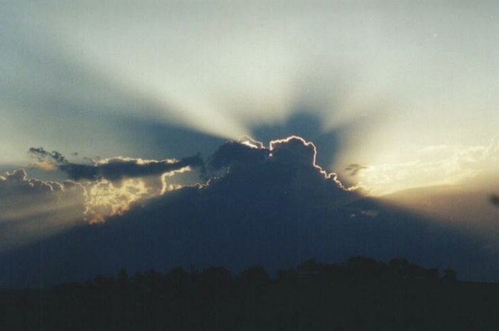 Photo  Anthony Cornelius