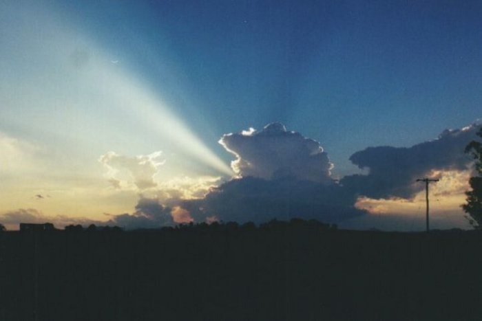 Photo  Anthony Cornelius