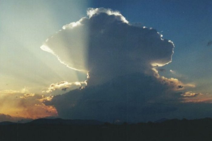 Photo  Anthony Cornelius