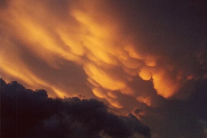 Photo  Anthony Cornelius