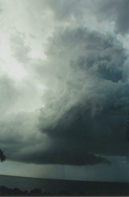 Taken by Anthony Cornelius