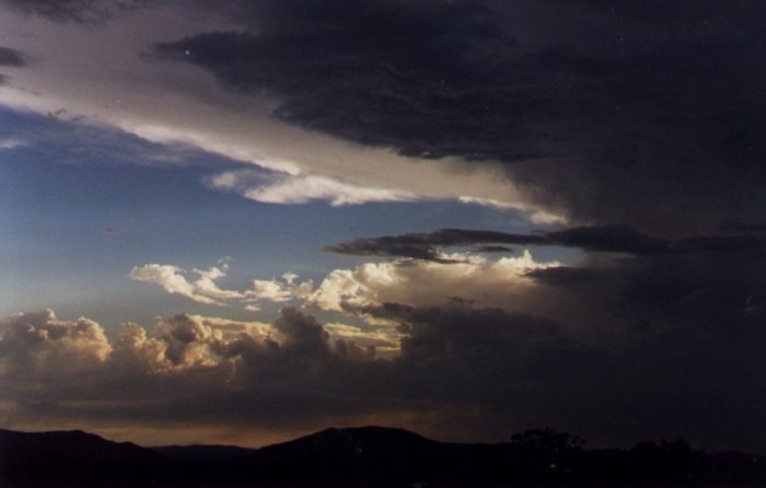 Photo  Anthony Cornelius