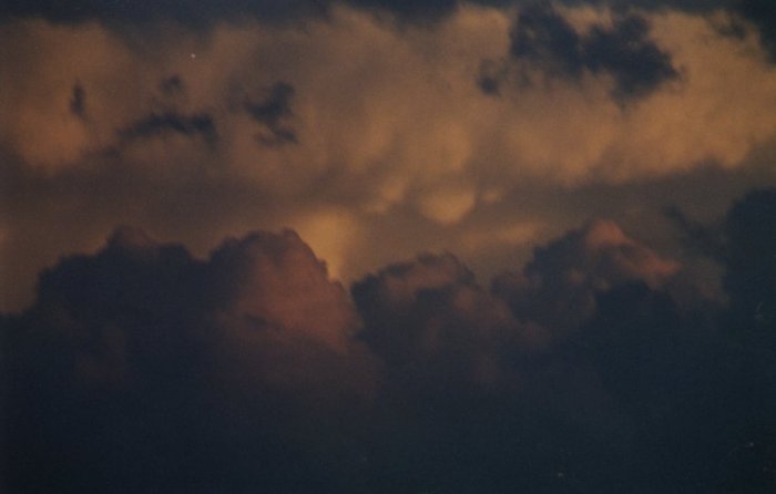 Taken by Anthony Cornelius