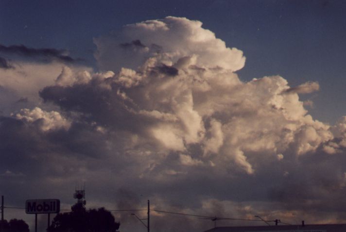 Taken by Anthony Cornelius