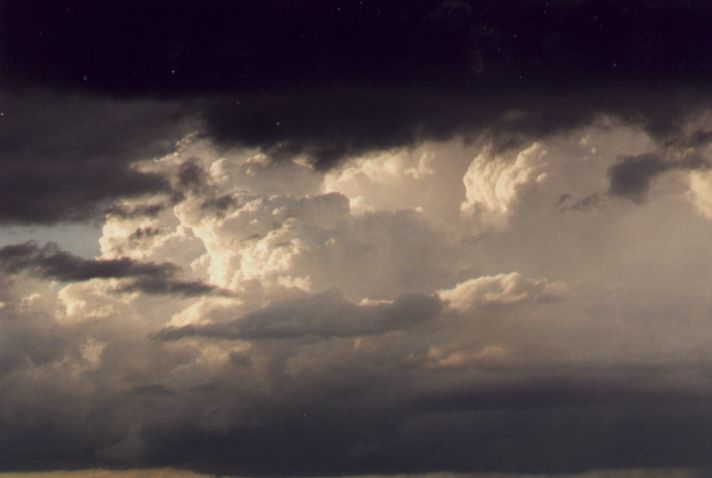 Taken by Anthony Cornelius