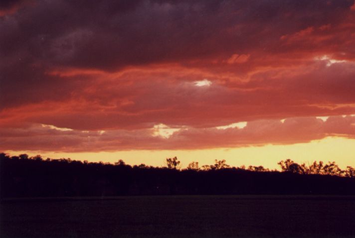 Taken by Anthony Cornelius