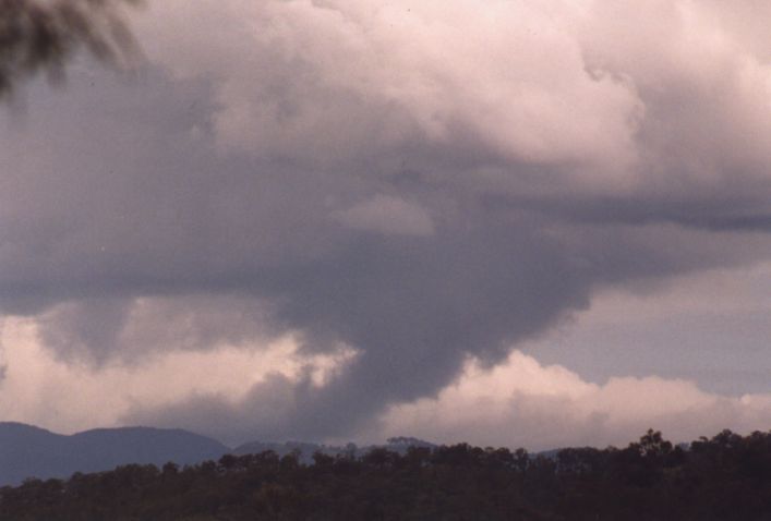 Photo  Anthony Cornelius