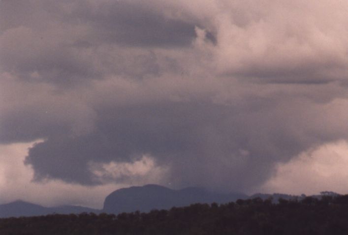 Photo  Anthony Cornelius