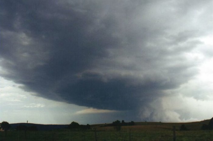 Photo  Anthony Cornelius