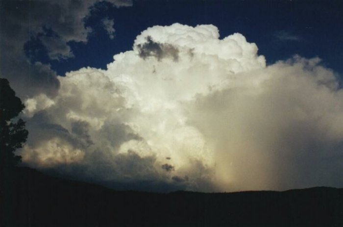 Photo  Anthony Cornelius