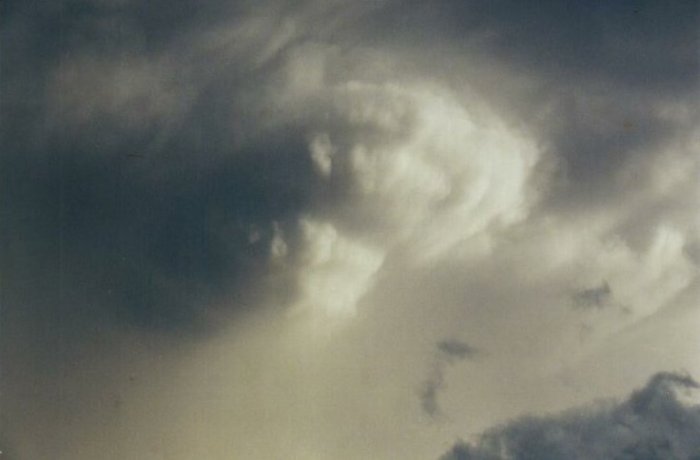 Photo  Anthony Cornelius