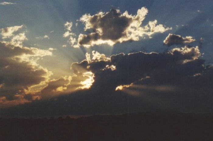 Photo  Anthony Cornelius