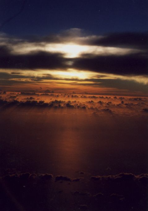 Photo  Anthony Cornelius