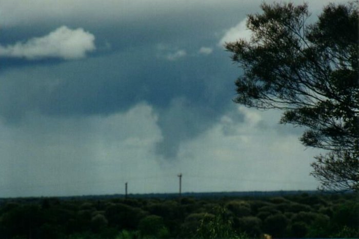 Photo  Anthony Cornelius