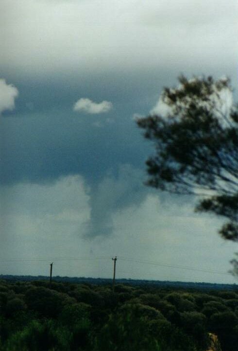 Photo  Anthony Cornelius