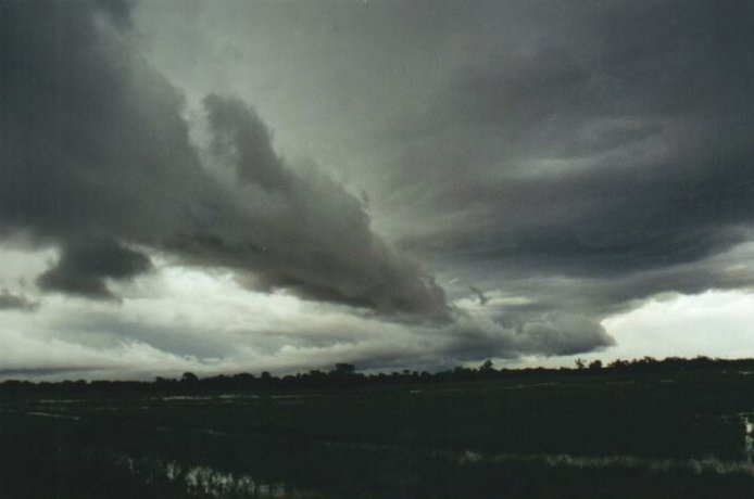 Photo  Anthony Cornelius