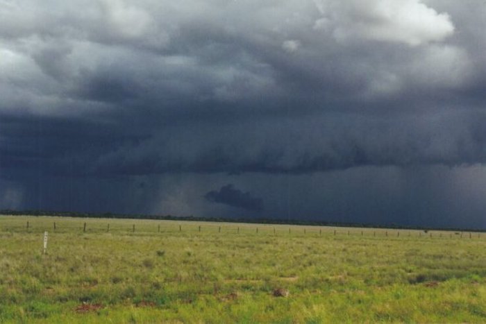 Photo  Anthony Cornelius