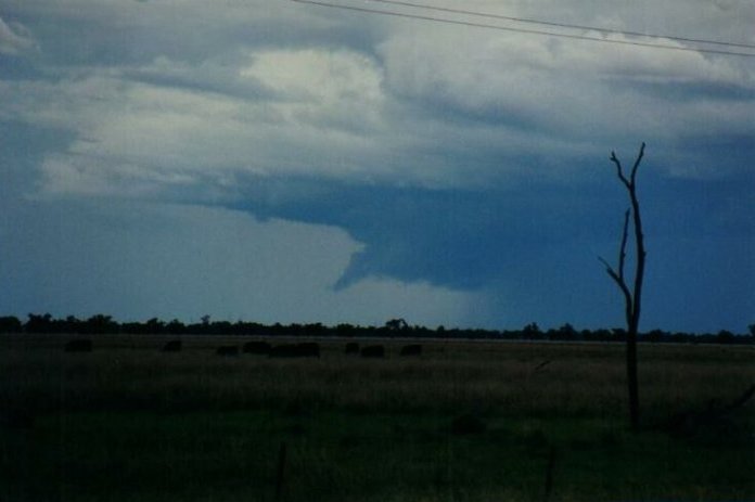 Photo  Anthony Cornelius